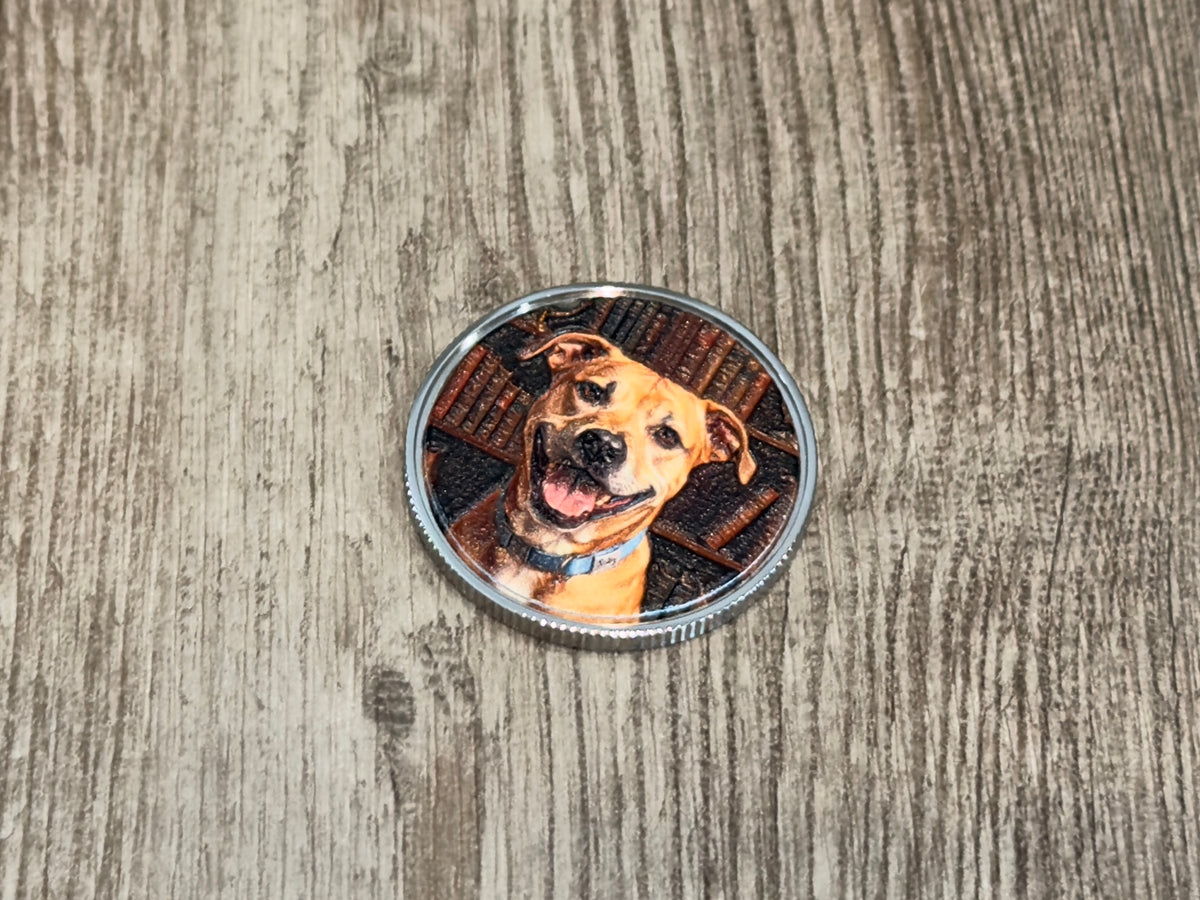 Custom Grade 5 titanium challenge coin with textured UV printed photo finish